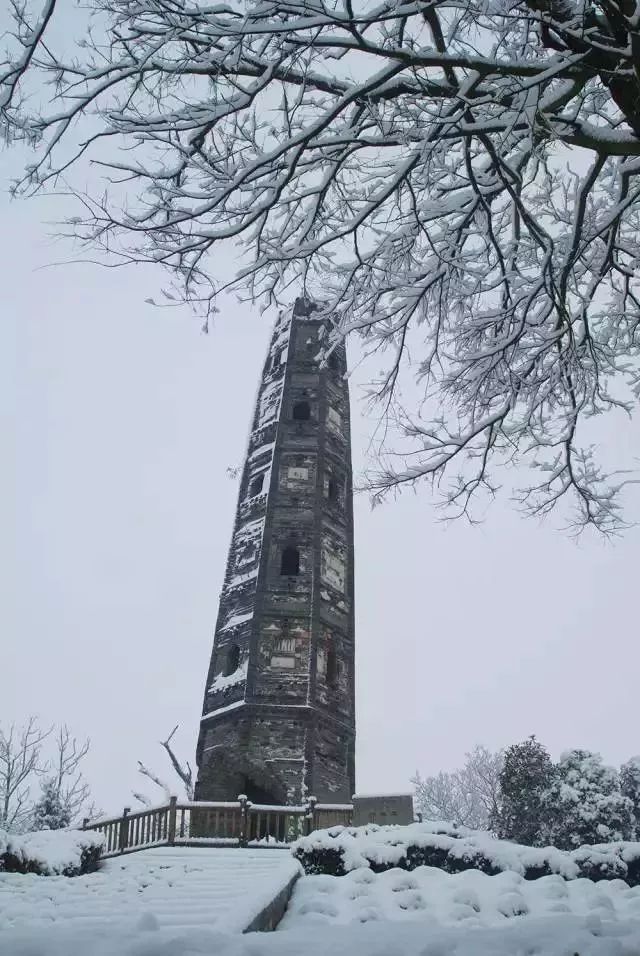 下辈子我只想做一只猪,下辈子我只想做一个俗人