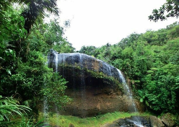 自由行之租匹红色大野马,帅气环帕劳!