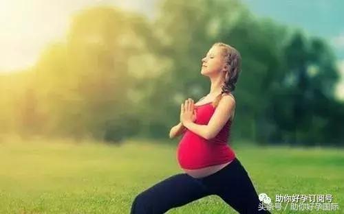 「助你好孕」如何培育优秀的卵子