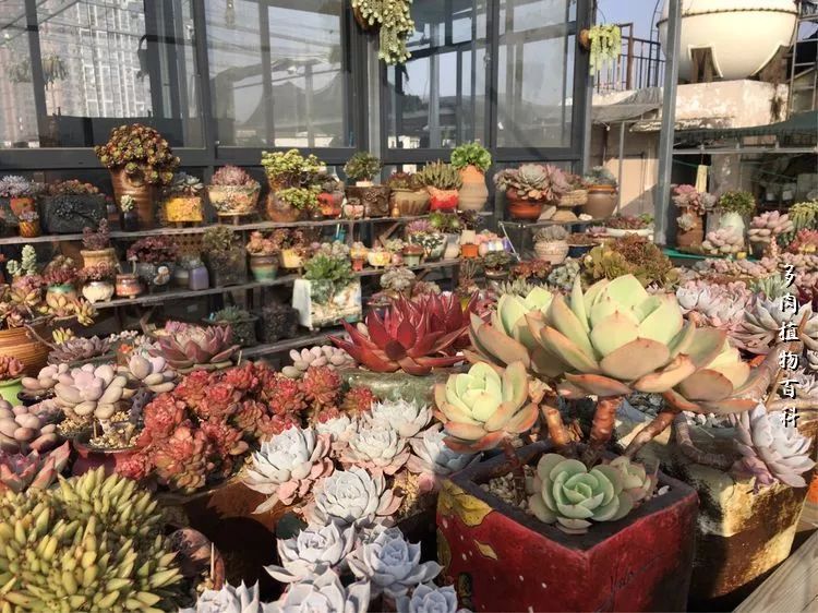 视觉盛宴美不胜收美图,视觉盛宴每个画面都美极了