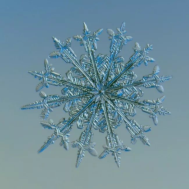 历时8年用微距镜头拍摄的雪花,超级微距拍摄雪花