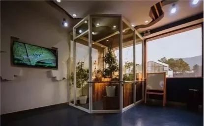 亲子推荐│蝶梦山丘—让蝶入梦、与蝶共舞