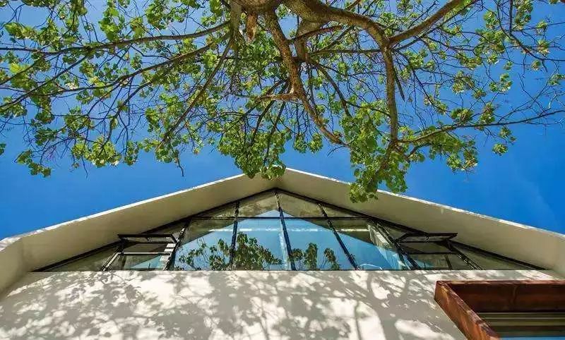 亲子推荐│蝶梦山丘—让蝶入梦、与蝶共舞