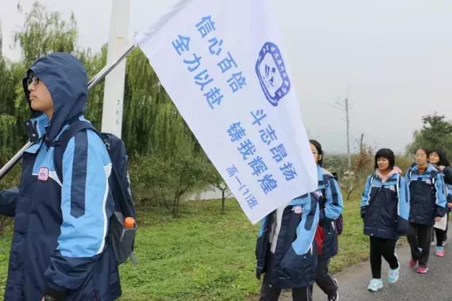 青春在这里绽放作文800字,青春在这里激昂