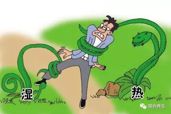 湿热体质有哪些症状反应如何调养,湿热体质的表现症状及调理方法