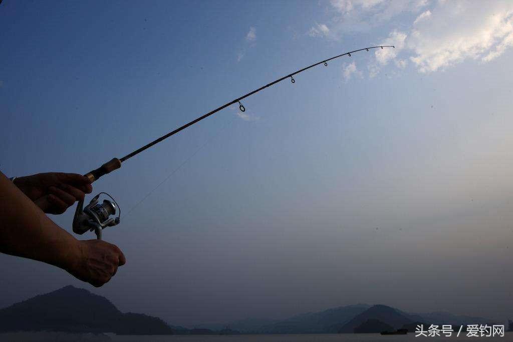 正确挑选出一款好鱼竿的方法,如何选择一根好鱼竿