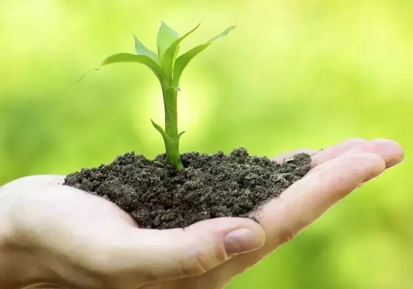 微生物多样性取样方法总结