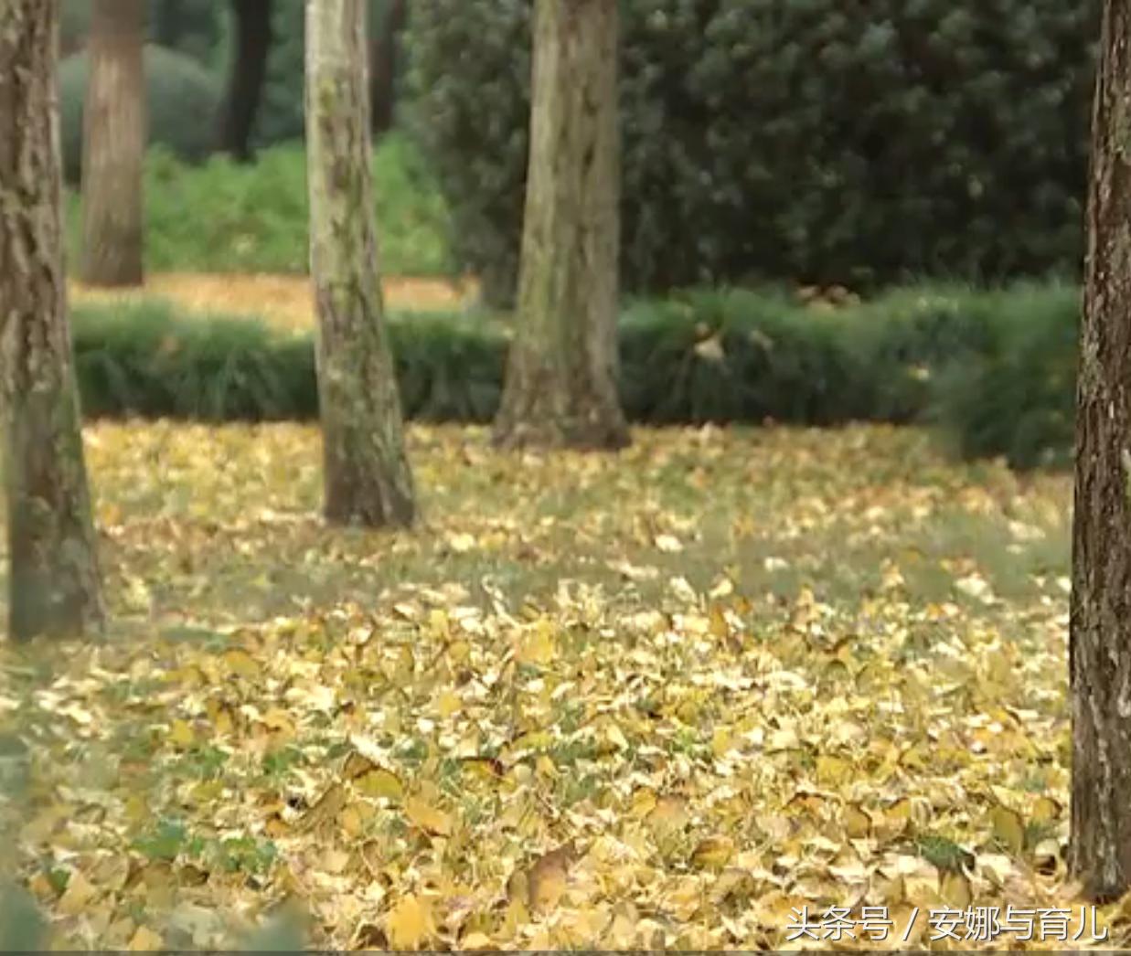 儿童身上奇痒无比怎么办,3岁女童身上发痒