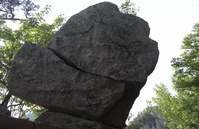 亲子推荐│蝶梦山丘—让蝶入梦、与蝶共舞