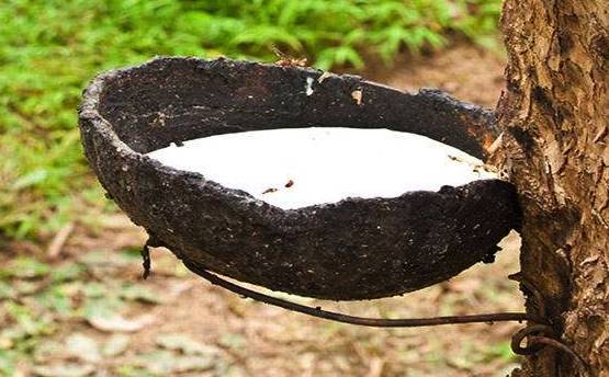 泰国的乳胶枕什么牌子最好,泰国最好的乳胶枕品牌