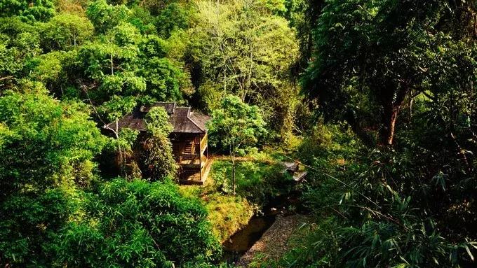 昆明坐火车绿皮去西双版纳,昆明坐高铁去西双版纳沿途风景