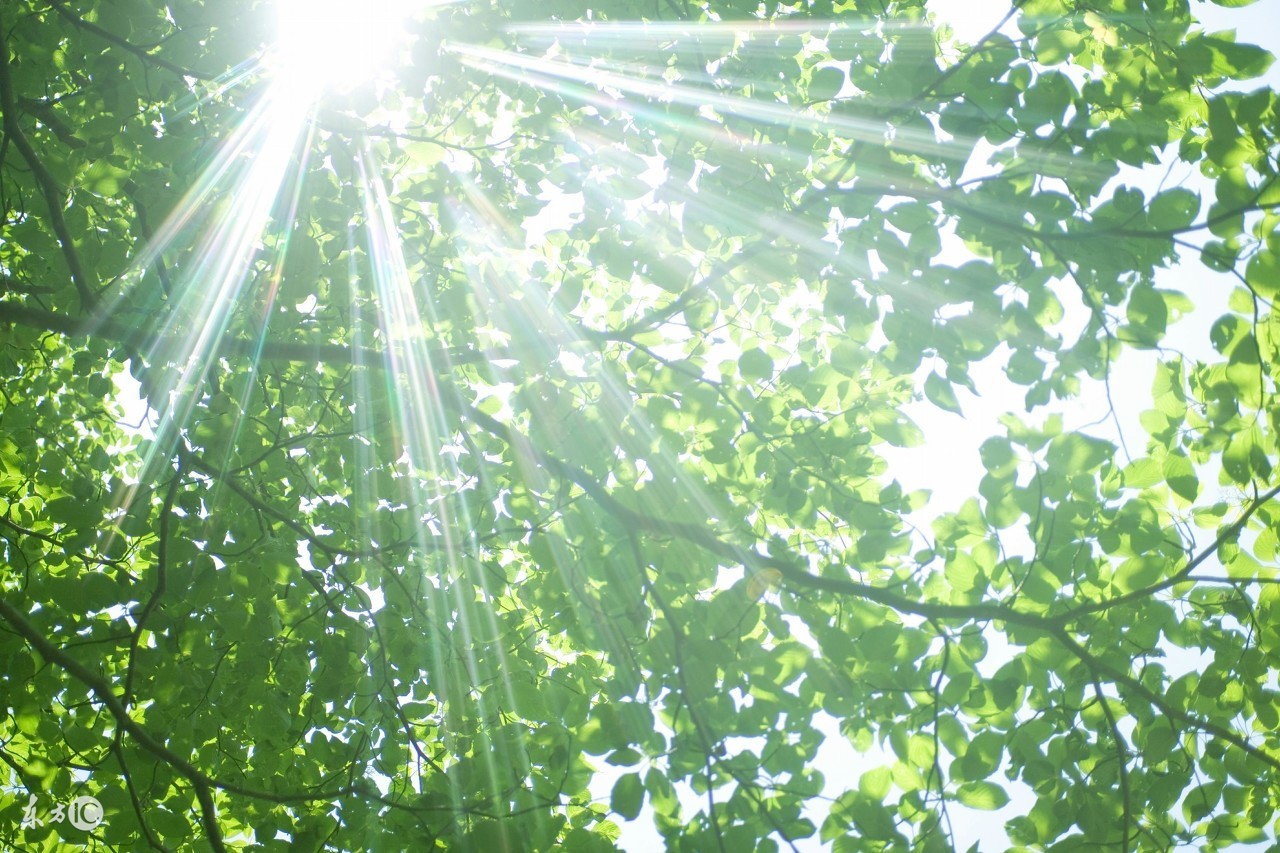 抑郁症为什么一到冬天就严重了,抑郁症冬天怎样熬过