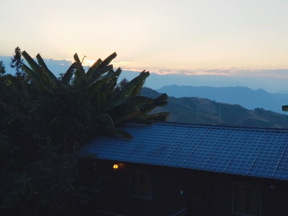 去云南适合买什么茶,云南最有名的咖啡在哪里