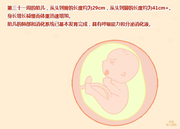 怀孕八个月，孕妇感到胎动减少，老公却说这是正常的