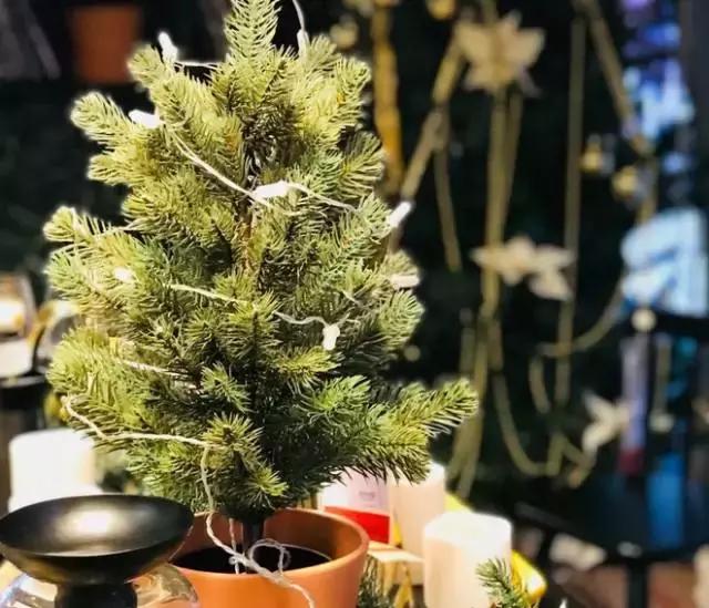 圣诞咋过,圣诞怎么过热闹