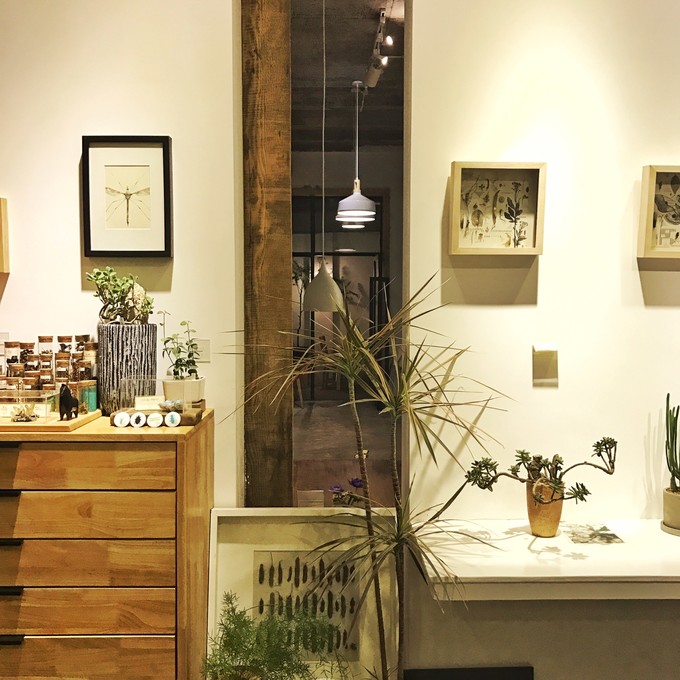 游记成都市内2日行,成都三日吃住行详细攻略