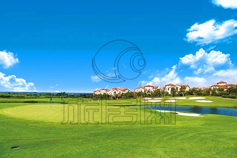 澄迈富力红树湾康养基地,澄迈富力红树湾在哪个镇