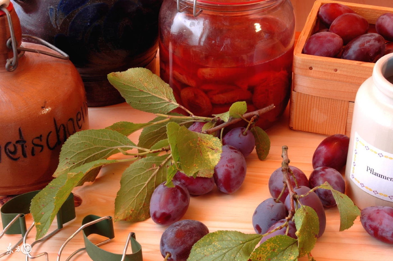 晕船晕车怎么办教你一招,旅行晕车晕船怎么办