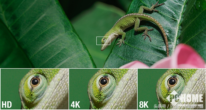 影像行业前景排行榜,影像行业有哪些