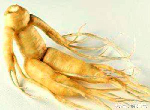 人参和西洋参要间隔多少时间服用,人参西洋参炖什么最好