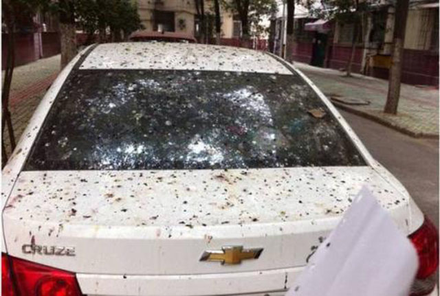 为啥买车都要推荐白色呢,买车不要被价格蒙蔽