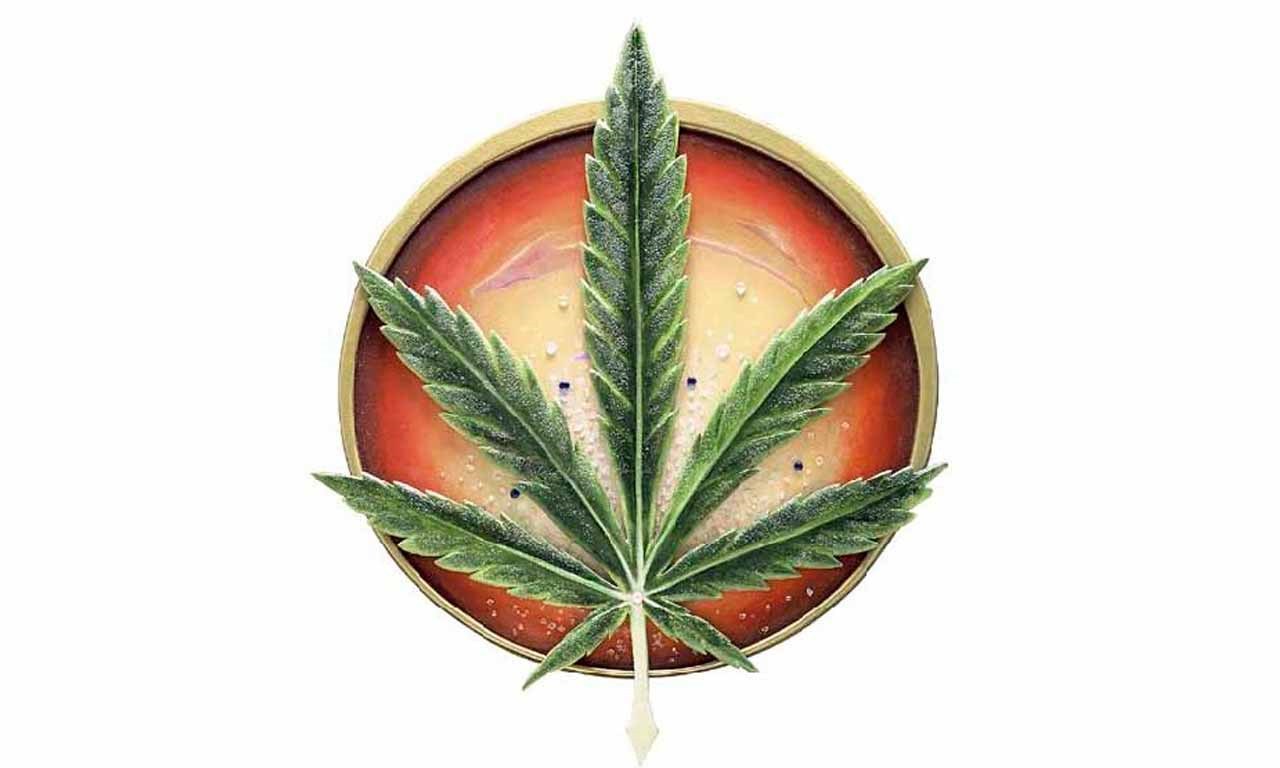 寮楁湕瑗挎柉濮氭槑鎬掓帹灏忔柉,寮楁湕瑗挎柉鍜屽鏄庤繕鏈夎仈绯诲悧