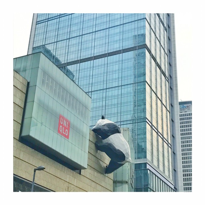 游记成都市内2日行,成都三日吃住行详细攻略