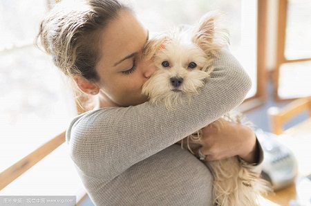 家里的狗狗生气怎么办,狗狗发脾气的表现