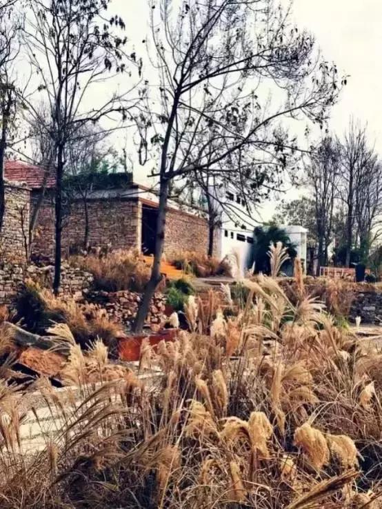 有什么项目可以拿国家补贴,国家扶持的项目补贴能给吗