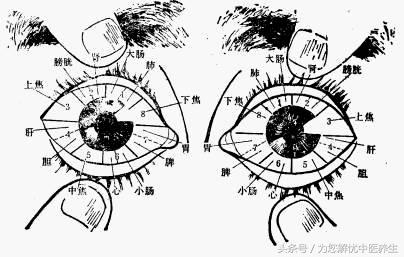 针刺降压法,降压最快的针刺放血穴位