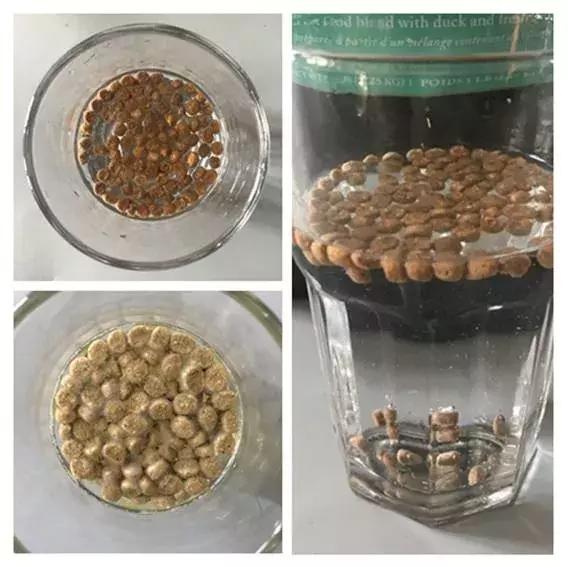 成年猫粮福摩,福摩绿猫粮