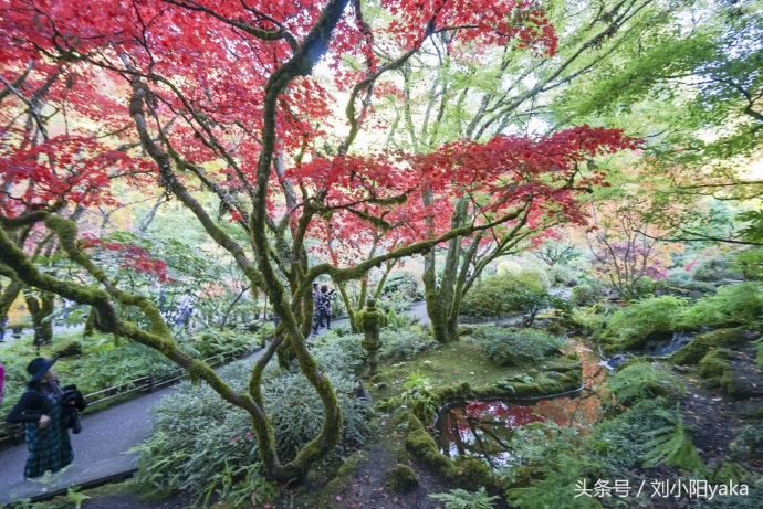 维多利亚水廊旅游,加拿大旅行景点