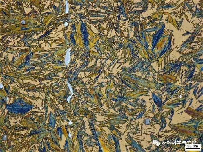 投票表决素材模板,投票素材图片图文