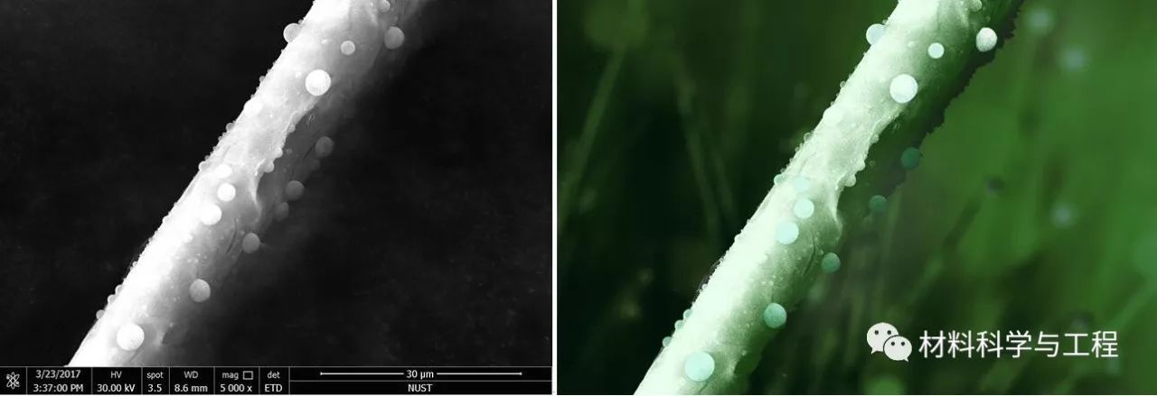投票表决素材模板,投票素材图片图文