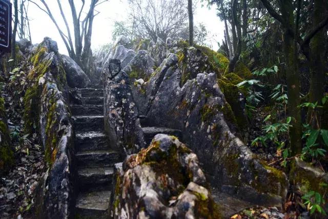 徒步四小时上山看雾凇,这个元旦去哪看雪