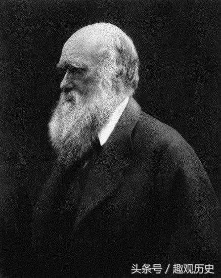 达尔文进化论是和谁一起提出来的,达尔文进化论是怎么提出来的