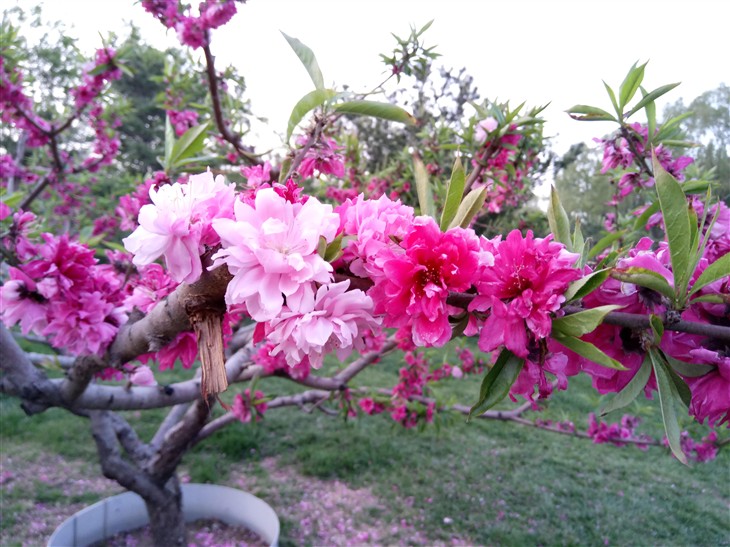 <html>
<head><title>502BadGateway</title></head>
<body>
<center><h1>502BadGateway</h1></center>
<hr><center>nginx</center>
</body>
</html>
<!--apaddingtodisableMSIEandChromefriendlyerrorpage-->
<!--apaddingtodisableMSIEandChromefriendlyerrorpage-->
<!--apaddingtodisableMSIEandChromefriendlyerrorpage-->
<!--apaddingtodisableMSIEandChromefriendlyerrorpage-->
<!--apaddingtodisableMSIEandChromefriendlyerrorpage-->
<!--apaddingtodisableMSIEandChromefriendlyerrorpage-->
