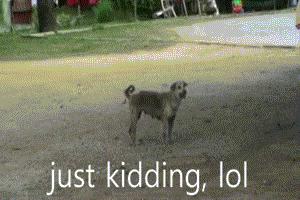 明天愚人节|小财送你办公室整蛊全攻略,对不起了,领导!