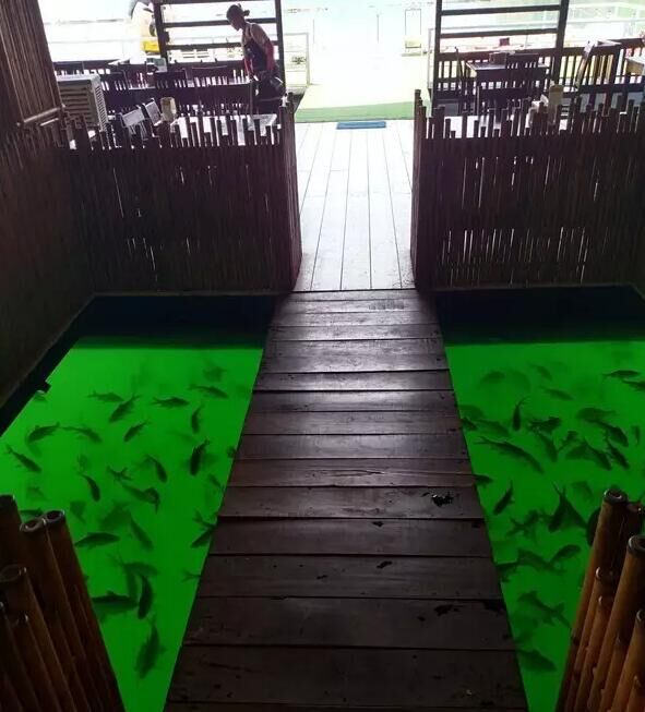 钓鱼探钓达人,钓鱼达人视频海钓