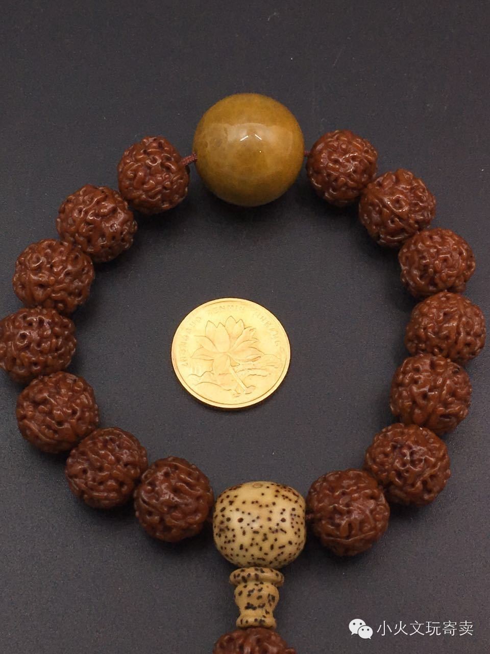 金刚和落地红的图片,金刚落地红视频