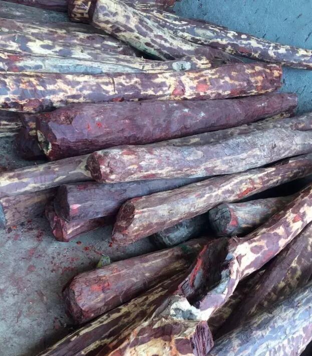 小叶紫檀做佛珠的正确方法,小叶紫檀佛珠怎么制作的