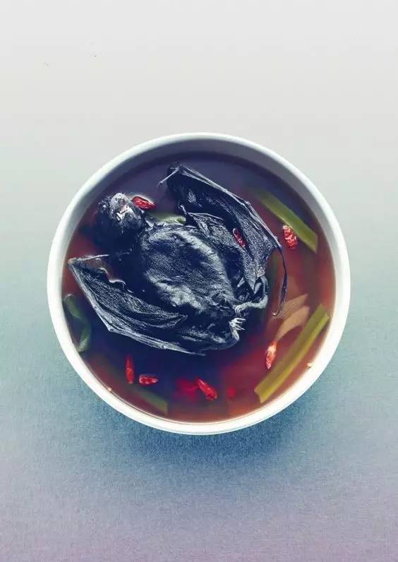 帕劳旅游报价携程,帕劳深度旅游攻略