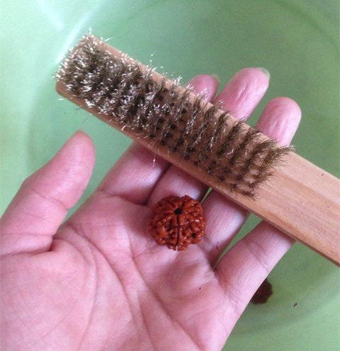 刷金刚用最硬的刷子,金刚菩提用什么刷子刷最好