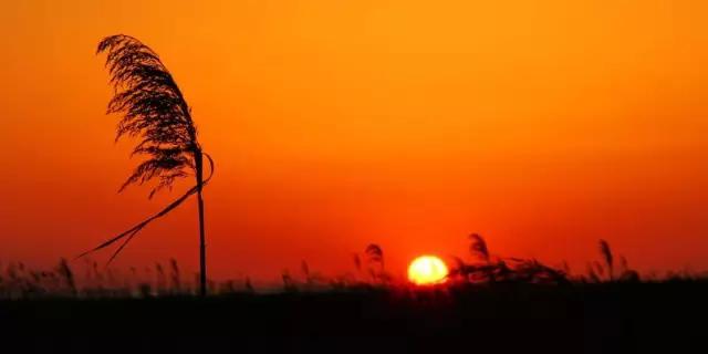 上海免费旅游景点,上海残疾人免费景点一览表