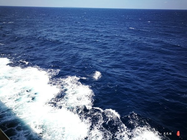 珊瑚海日本,陪你去看海底世界