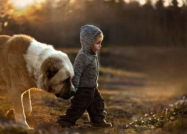 怎么让孩子摆脱焦虑,面对孩子的焦虑情绪父母该怎么办