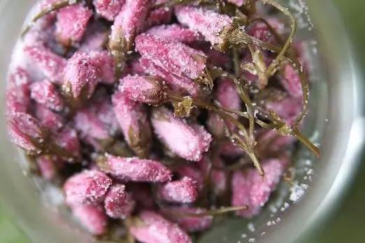 把春天吃进嘴里,把春天吃进嘴里句子