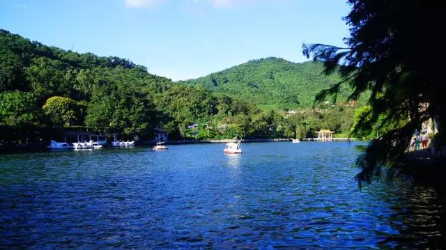 深圳有没有好看的风景湖,深圳美湖