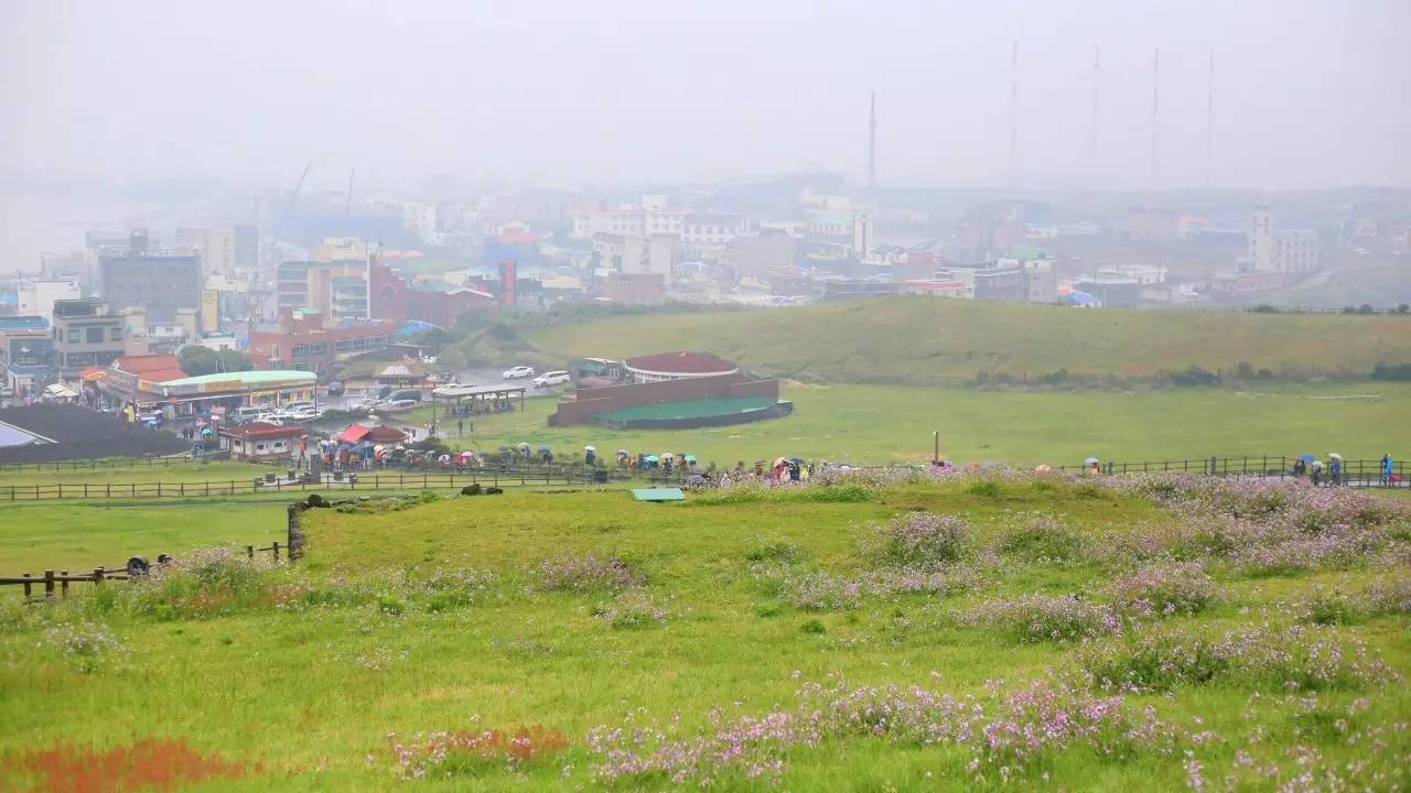 全过程记录,揭秘廉价济州岛跟团游背后的真相