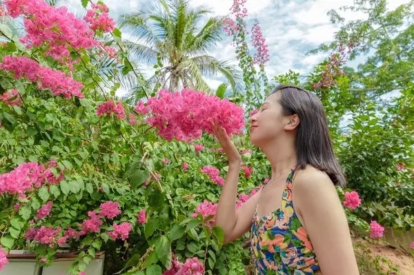 五天四晚亲子三亚游,许你一片碧海蓝天小说